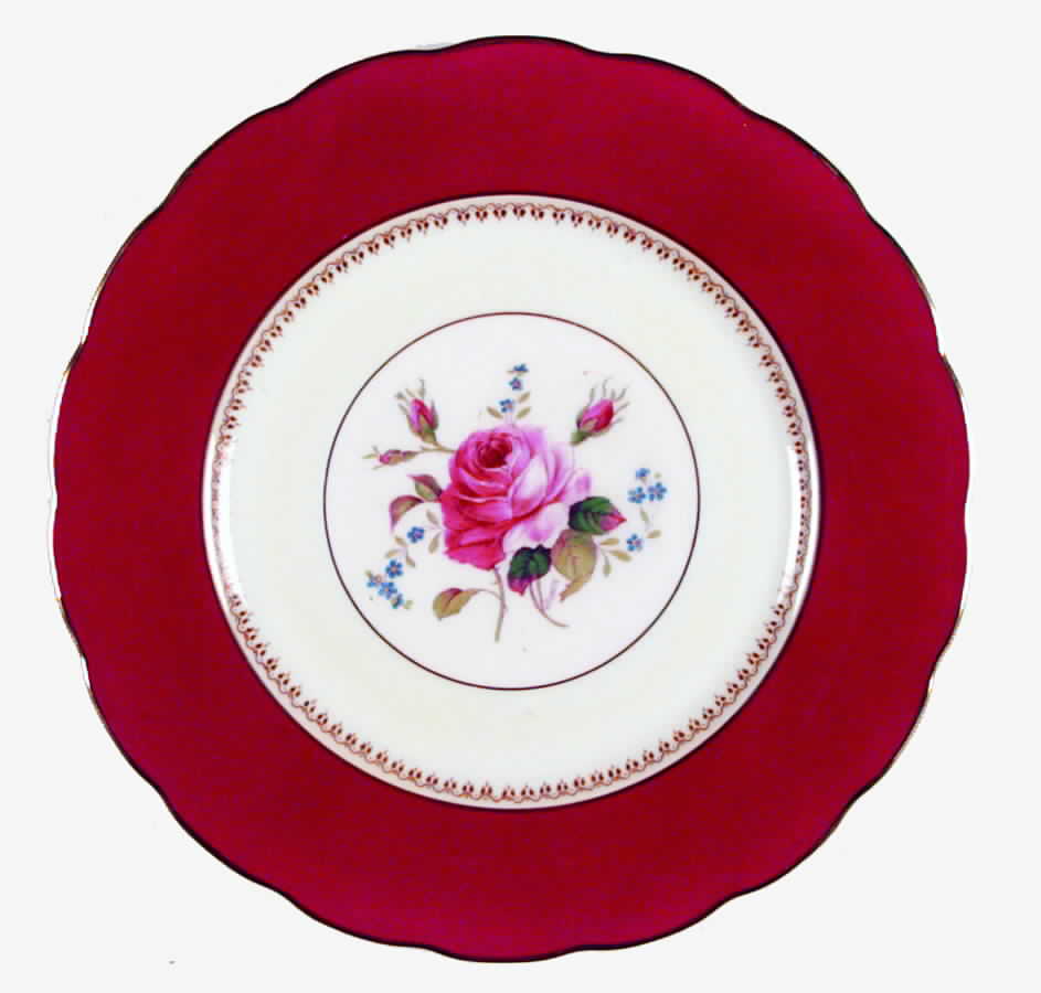 Melrose (Red) Dinner Plate by Royal Swansea-1