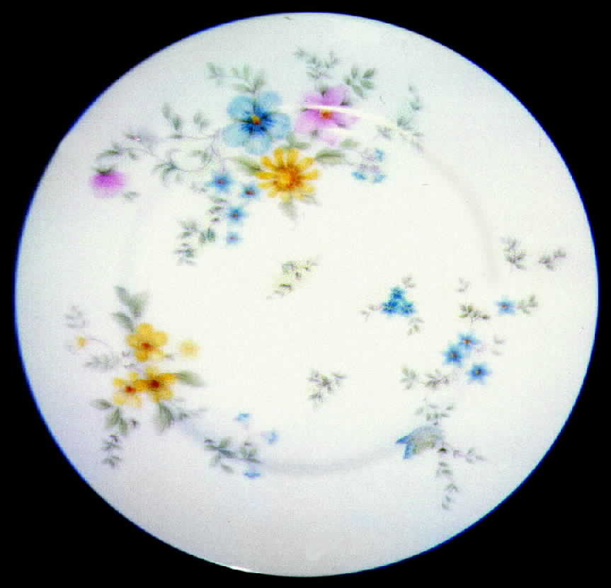 RVA8 Dinner Plate by Royal Vale-1