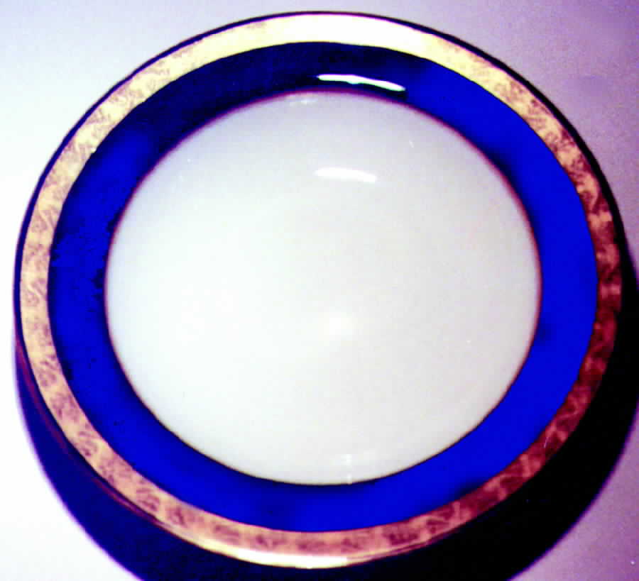 8006m Dinner Plate by Royal Worcester-1