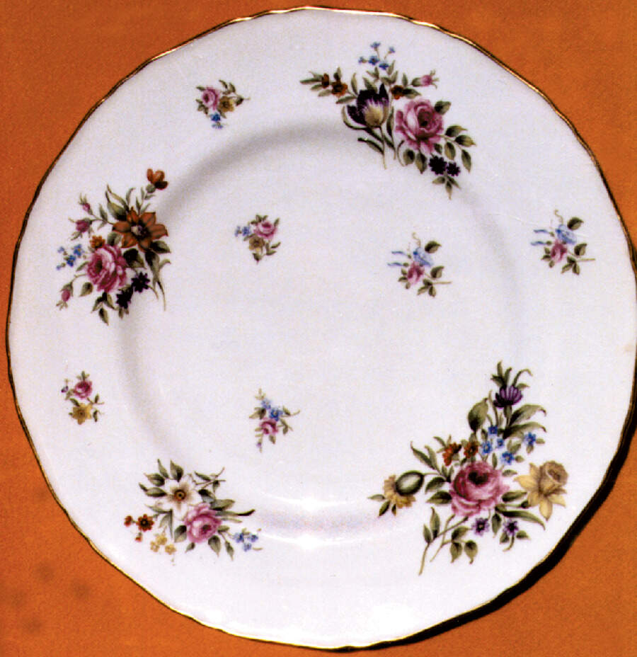 Albemarle Dinner Plate by Royal Worcester-1