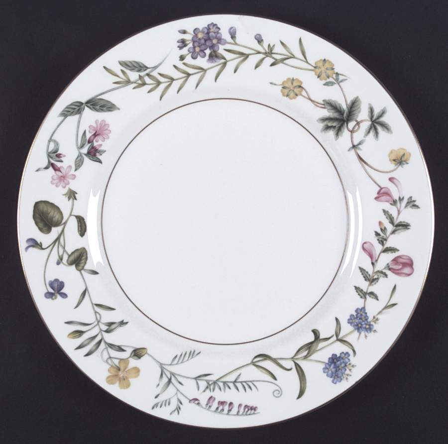 Arcadia Dinner Plate by Royal Worcester-1