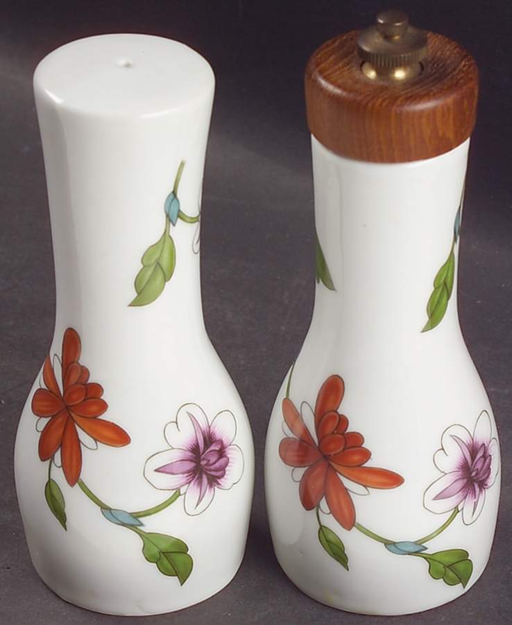 Astley (Oven To Table) Salt Mill & Pepper Mill Set by Royal Worcester-1