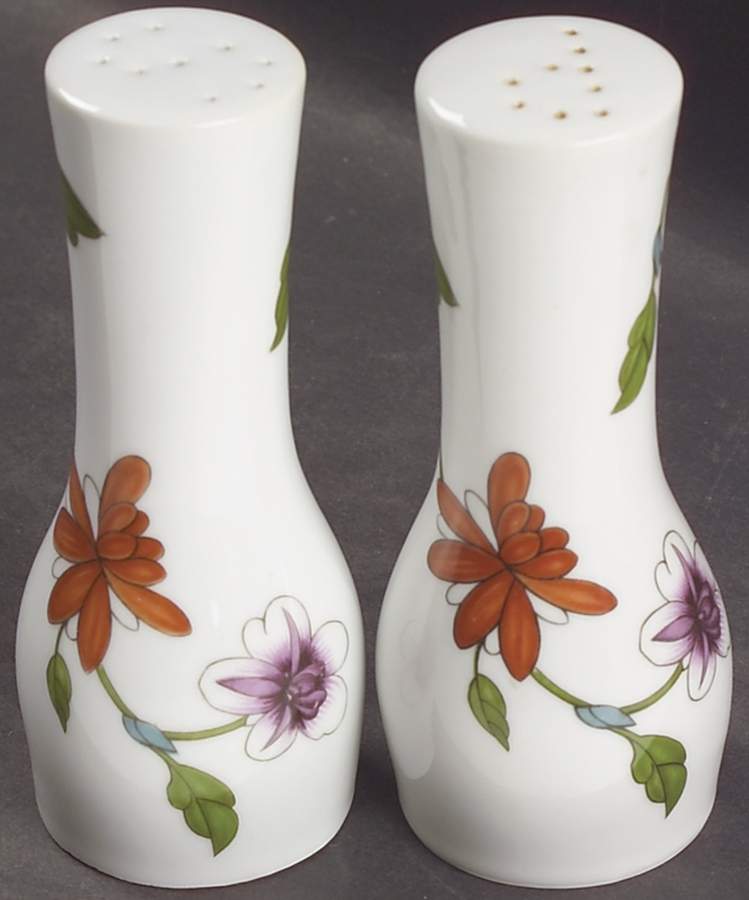 Astley (Oven To Table) Salt & Pepper Set by Royal Worcester-1