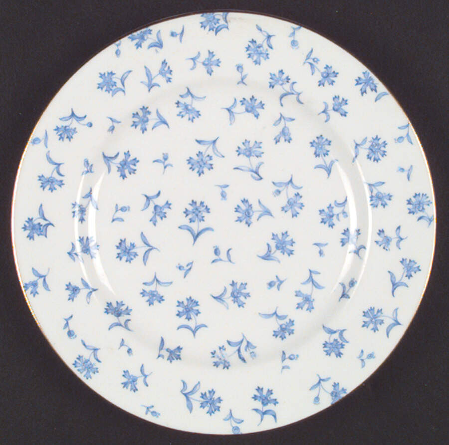 B711 Salad Plate by Royal Worcester-1