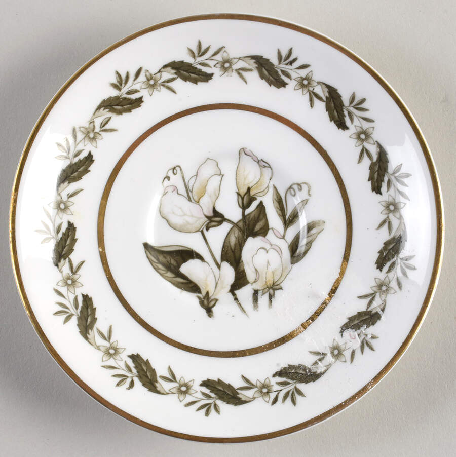 Bernina Saucer for Demitasse Cup by Royal Worcester-1