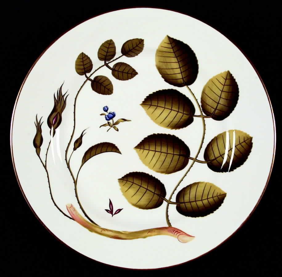Blind Earl (No Raised Design) Dinner Plate by Royal Worcester-1