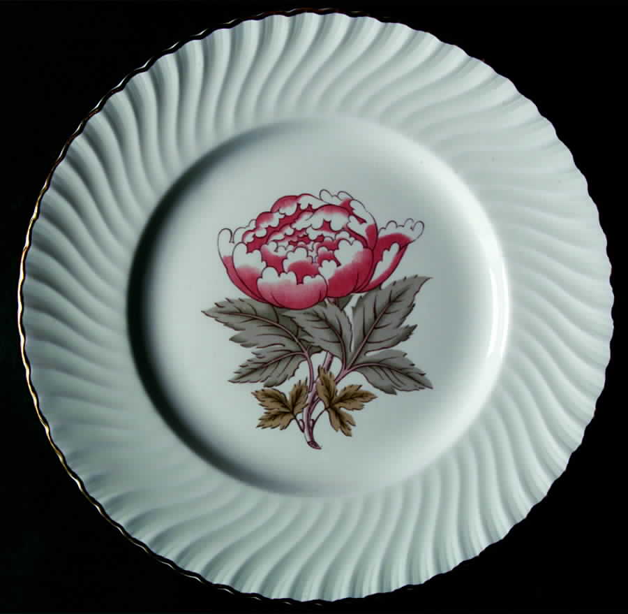 Christina Dinner Plate by Royal Worcester-1