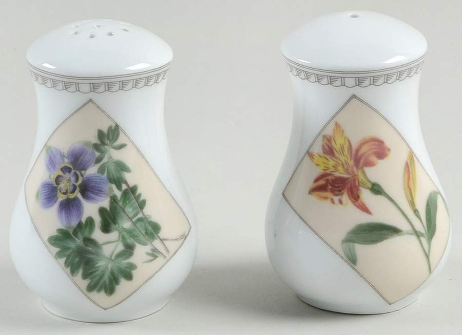 Country Garden Salt & Pepper Set by Royal Worcester-1