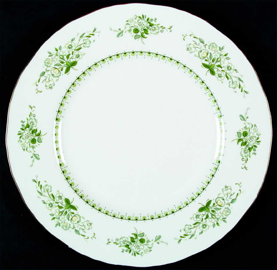 Derwent Dinner Plate by Royal Worcester-1