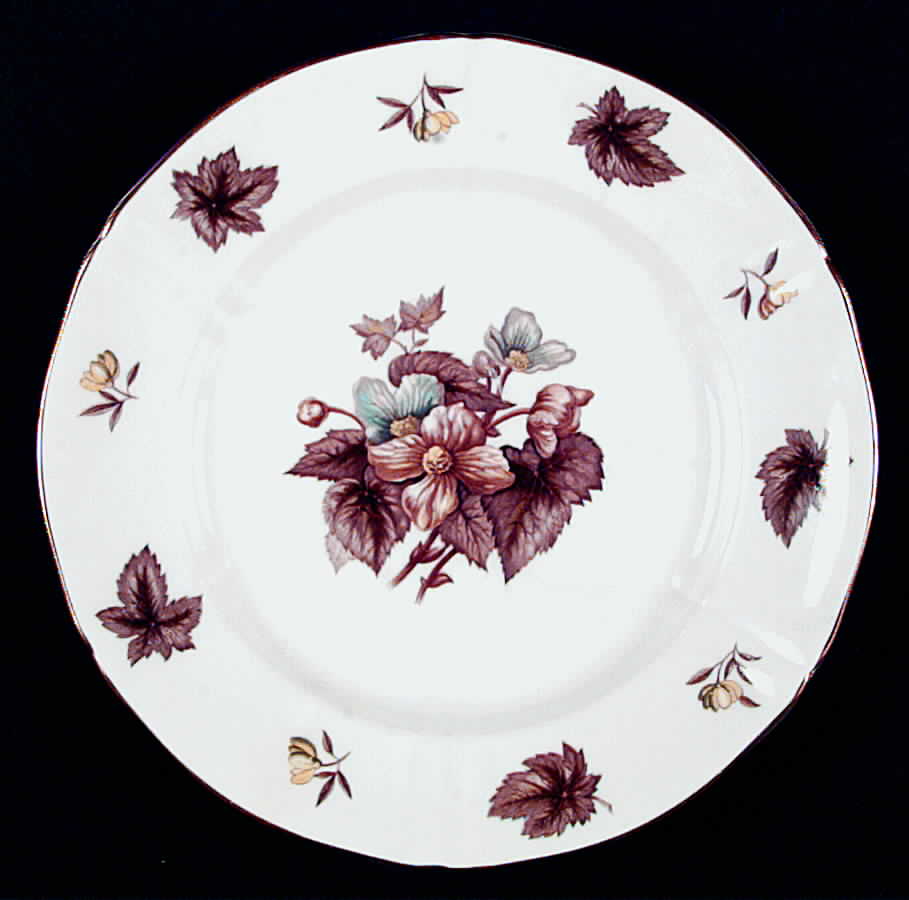 Dorchester (Scalloped, Z2637) Luncheon Plate by Royal Worcester-1