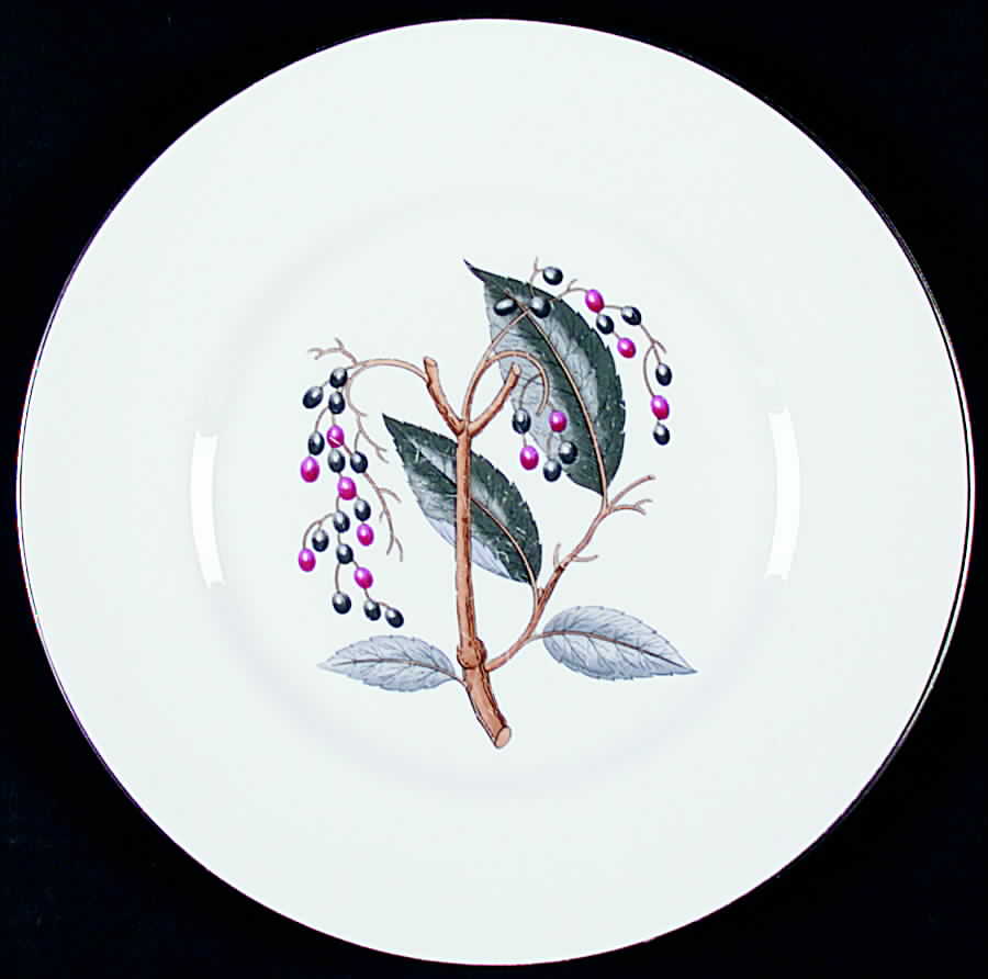 Elderberry Dinner Plate by Royal Worcester-1