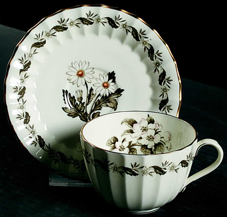 Engadine (No Inner Verge) Flat Cup & Saucer Set by Royal Worcester-1