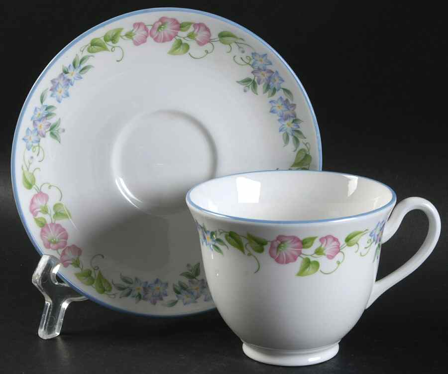 English Garden (Blue Trim) Footed Cup & Saucer Set by Royal Worcester-1