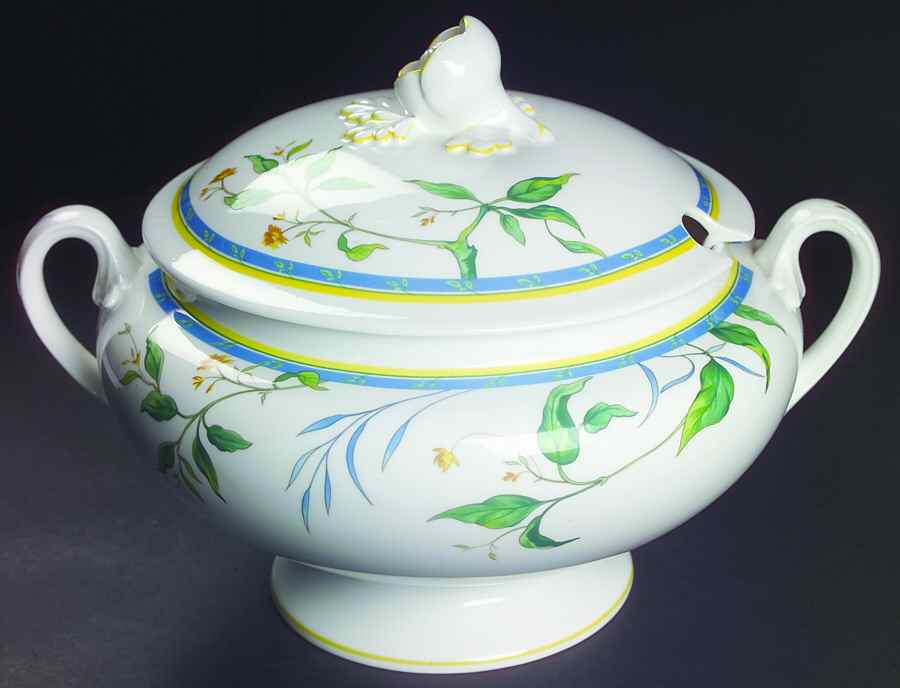 Pastorale Tureen &  Lid by Royal Worcester-1