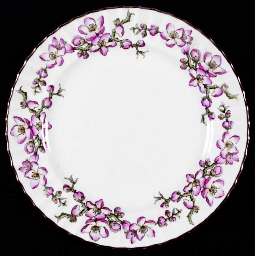 Pomona Dinner Plate by Royal Worcester-1
