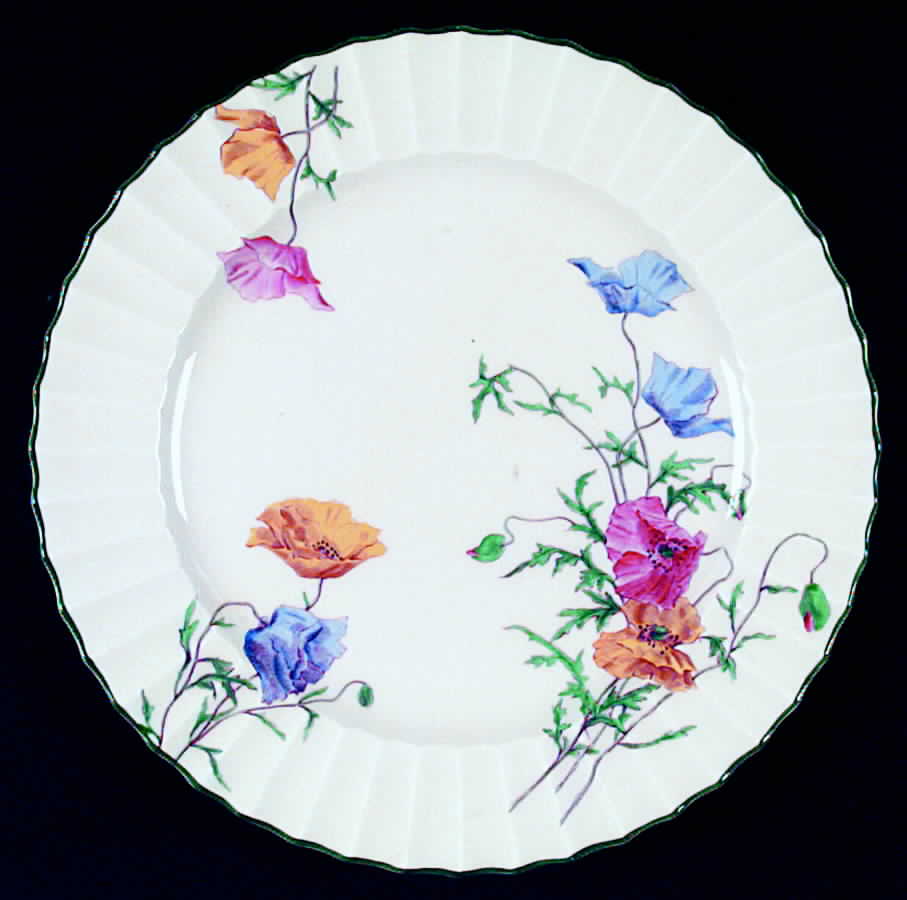 Poppy Dinner Plate by Royal Worcester-1