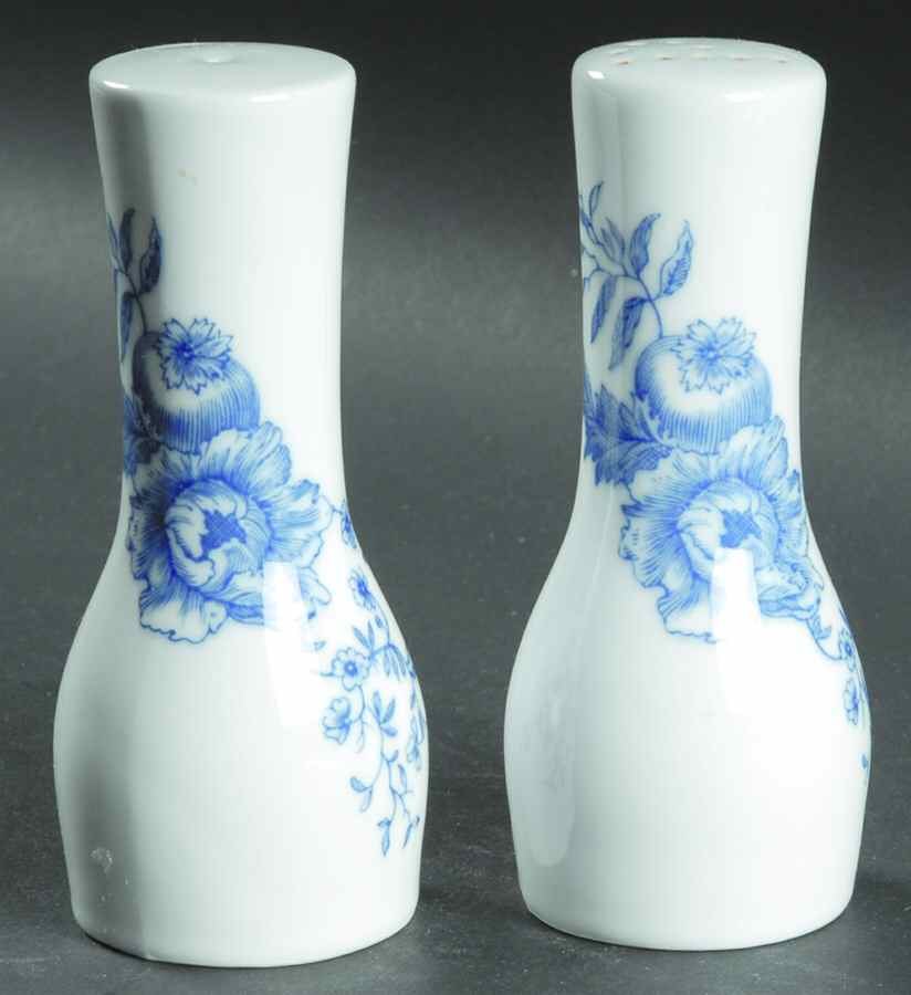 Rhapsody Salt & Pepper Set by Royal Worcester-1