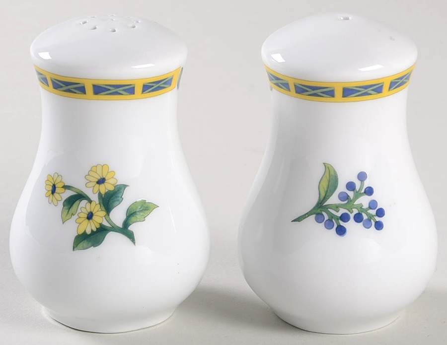Rio Salt & Pepper Set by Royal Worcester-1