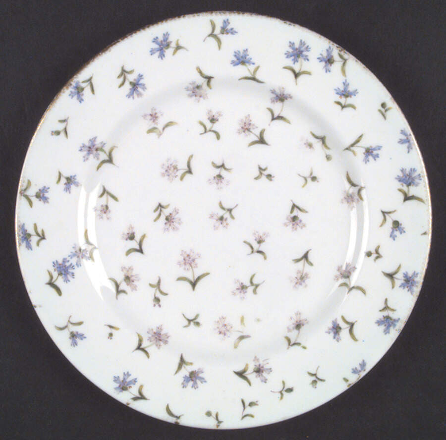 RW22 Salad Plate by Royal Worcester-1