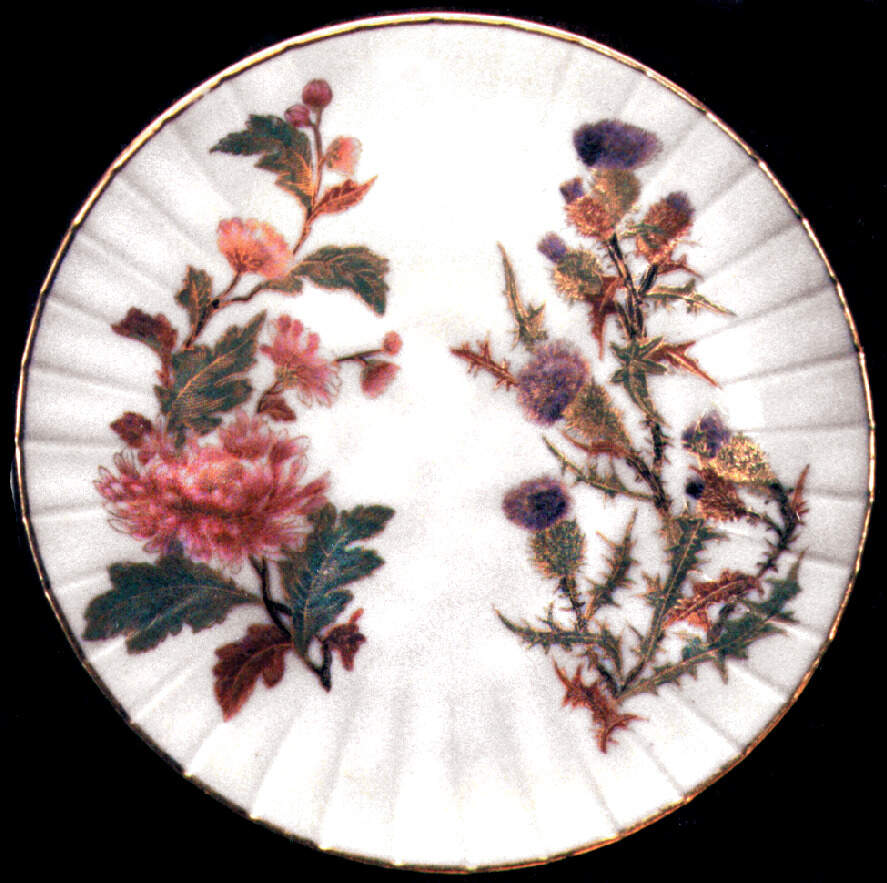 RW25 Dinner Plate by Royal Worcester-1