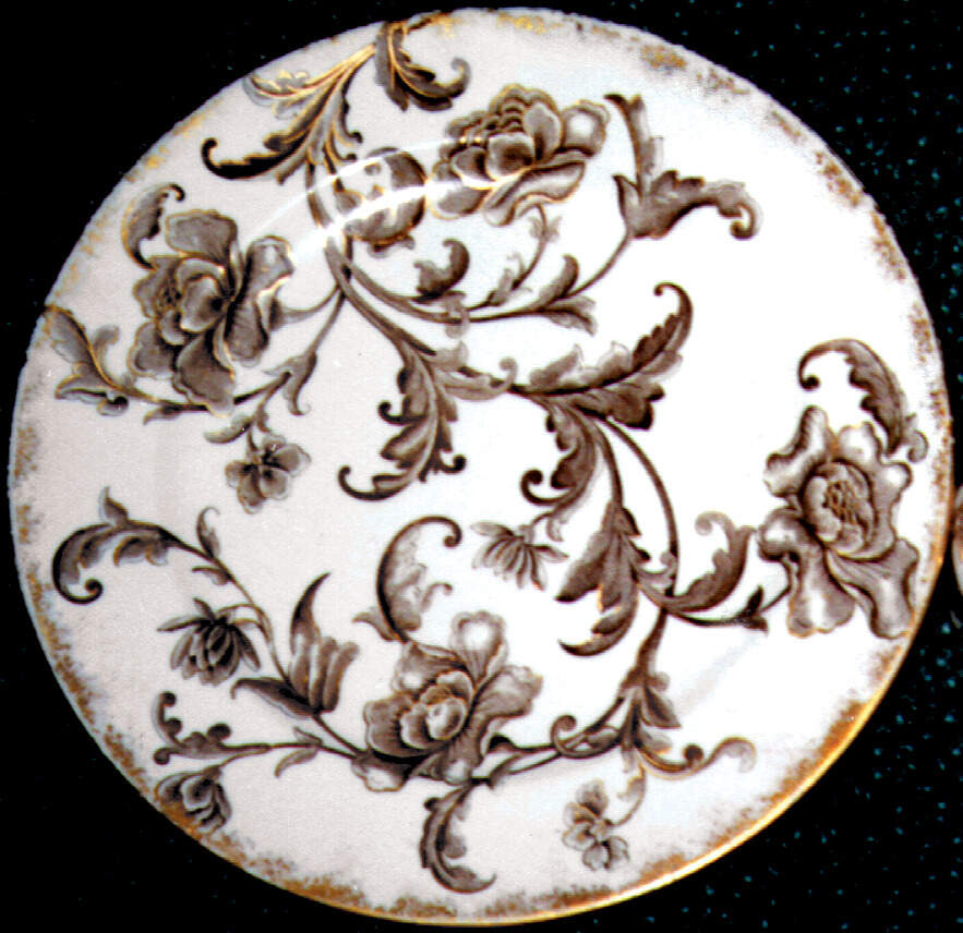 RW33 Dinner Plate by Royal Worcester-1