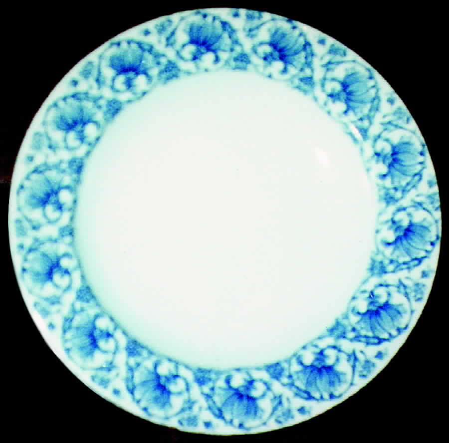 RW48 Dinner Plate by Royal Worcester-1