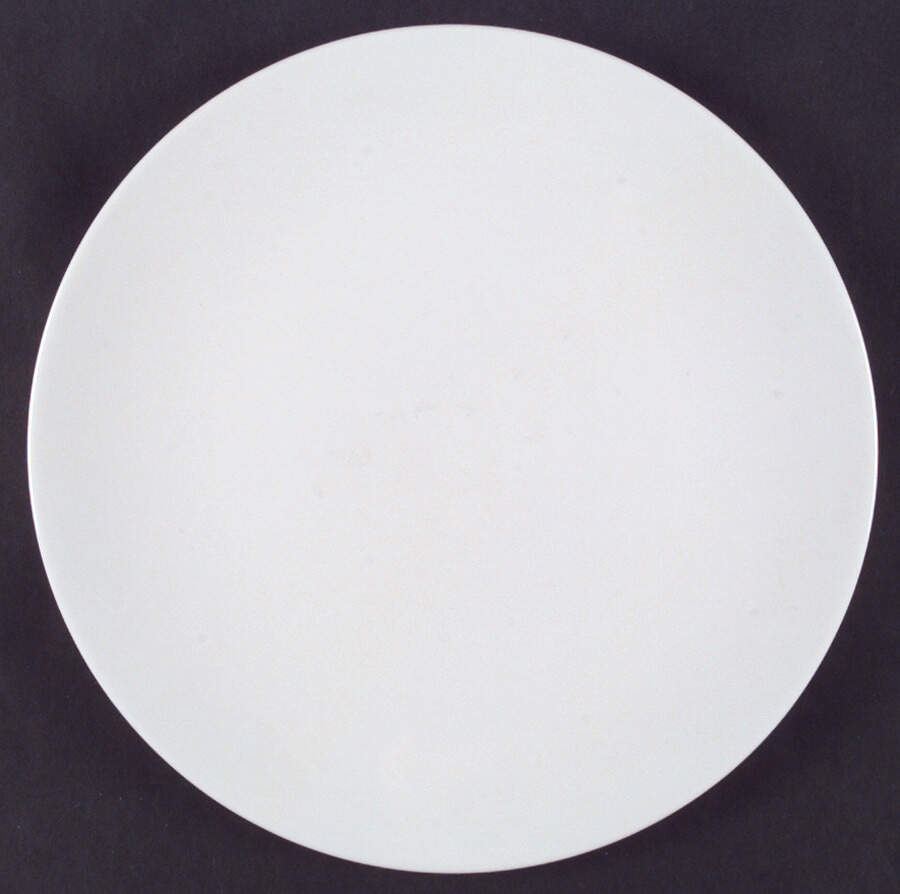 Snow (Z2697, No Trim) Dinner Plate by Royal Worcester-1