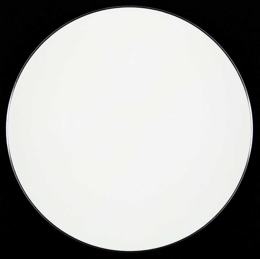 Snow (Z2699-2, Platinum Trim) Dinner Plate by Royal Worcester-1