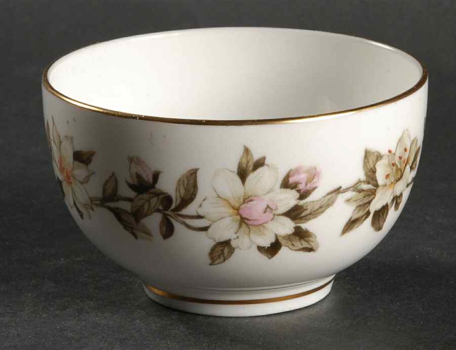 Torquay Open Sugar Bowl by Royal Worcester-1