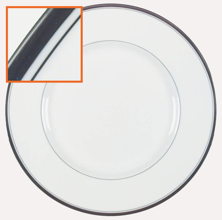 Viceroy (Platinum Trim) Dinner Plate by Royal Worcester-1