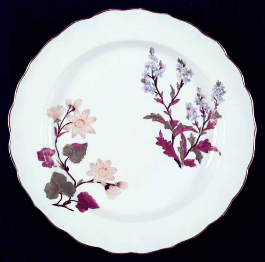 W1701 (Scalloped) Salad Plate by Royal Worcester-1