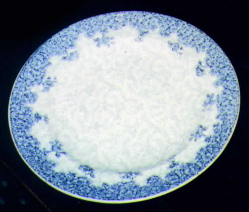W2204 Dinner Plate by Royal Worcester-1