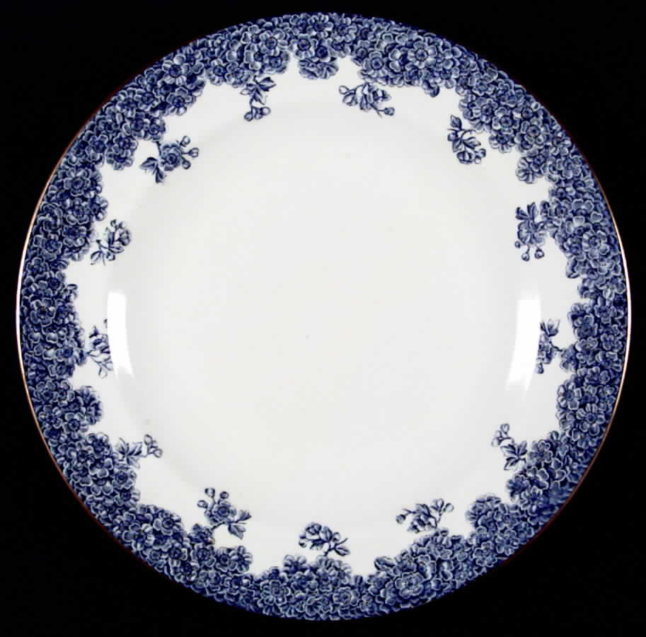 W2279 Dinner Plate by Royal Worcester-1