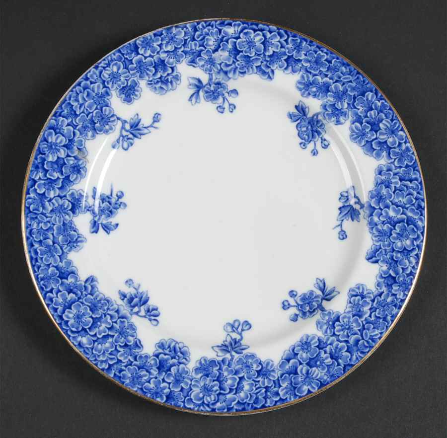 W2279 Bread & Butter Plate by Royal Worcester-1
