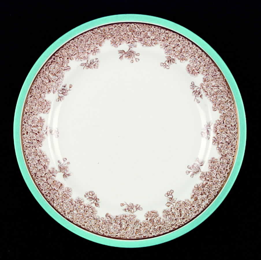 W2661 Dinner Plate by Royal Worcester-1