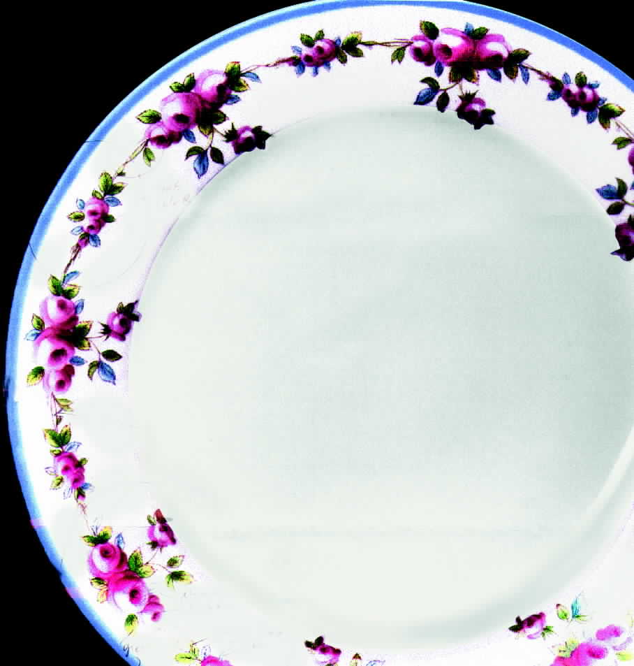W8930 Dinner Plate by Royal Worcester-1