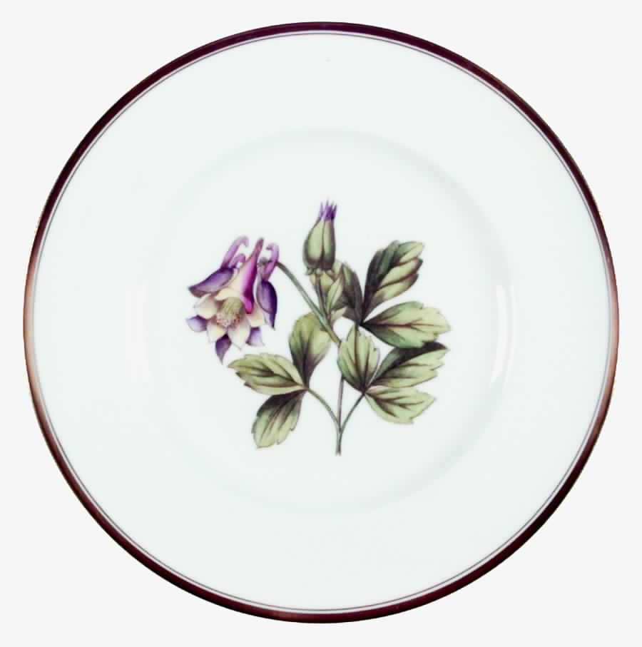 Williamson Flower Luncheon Plate by Royal Worcester-1