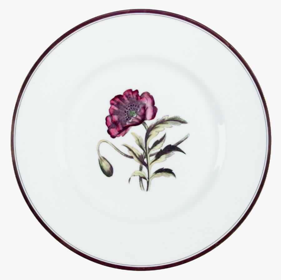 Williamson Flower Dinner Plate by Royal Worcester-1