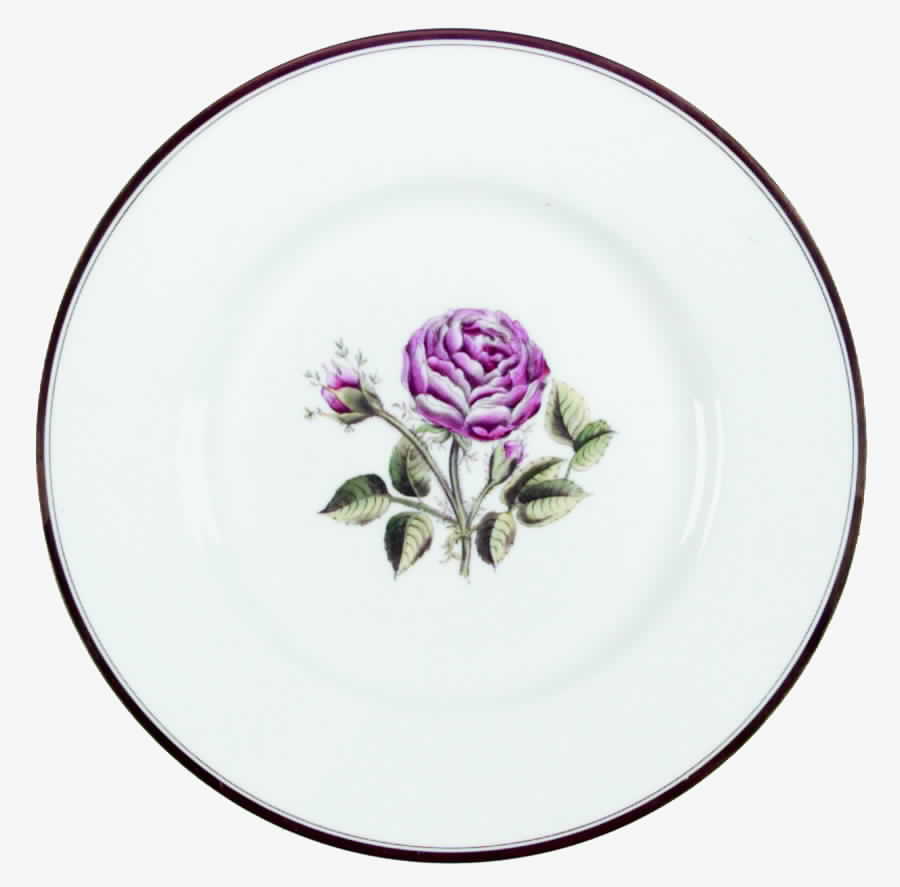 Williamson Flower Dinner Plate by Royal Worcester-1