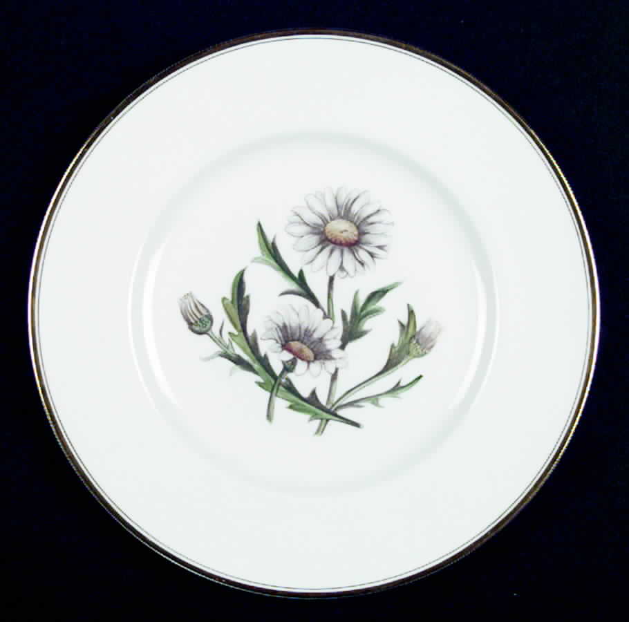 Williamson Flower Luncheon Plate by Royal Worcester-1
