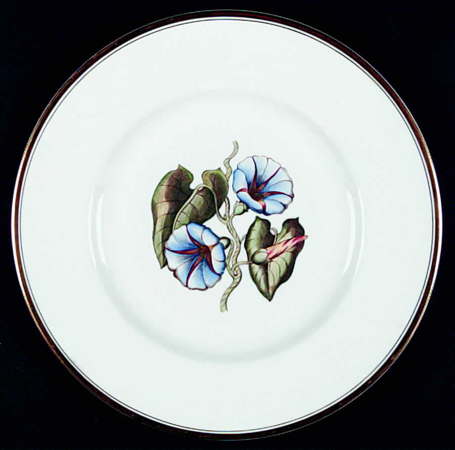 Williamson Flower Dinner Plate by Royal Worcester-1