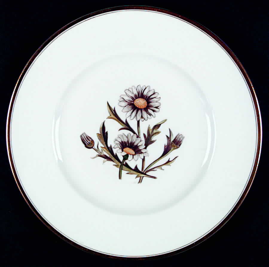 Williamson Flower Dinner Plate by Royal Worcester-1