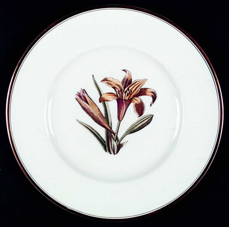 Williamson Flower Dinner Plate by Royal Worcester-1