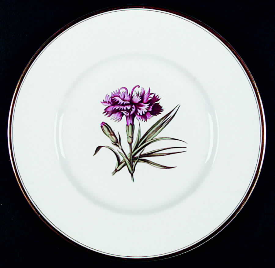 Williamson Flower Dinner Plate by Royal Worcester-1