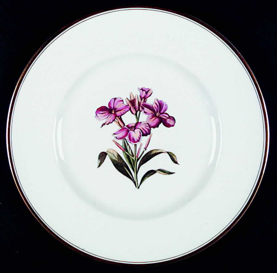 Williamson Flower Dinner Plate by Royal Worcester-1