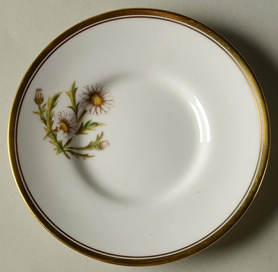 Williamson Flower Saucer for Flat Demitasse Cup by Royal Worcester-1