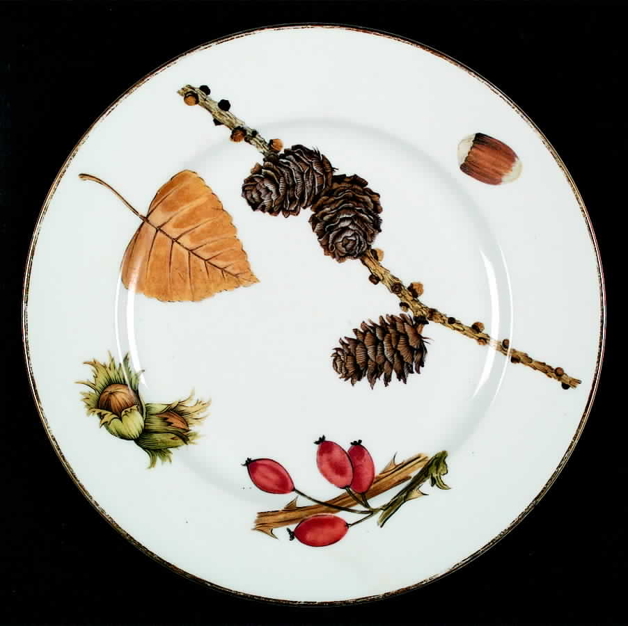 Wild Harvest (Gold Trim) Salad Plate by Royal Worcester-1