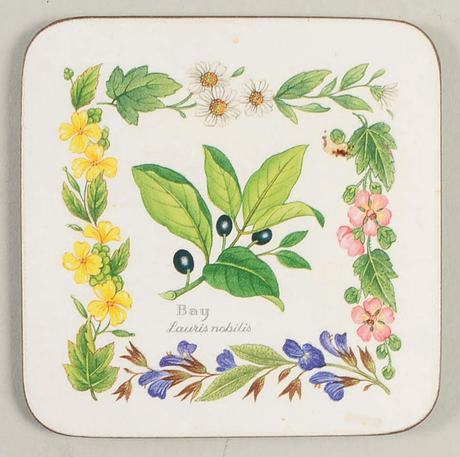 Worcester Herbs (Green Trim) Cork Back Square Coaster by Royal Worcester-1