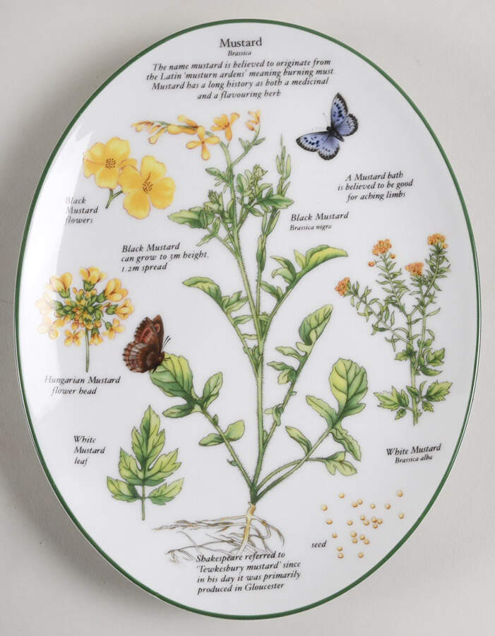 Worcester Herbs (Green Trim) 8" Oval Serving Platter by Royal Worcester-1