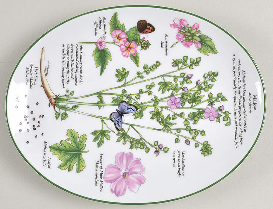 Worcester Herbs (Green Trim) 8" Oval Serving Platter by Royal Worcester-1